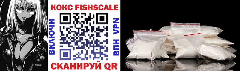 COCAIN Fish Scale  Купить закладки  Ишим 