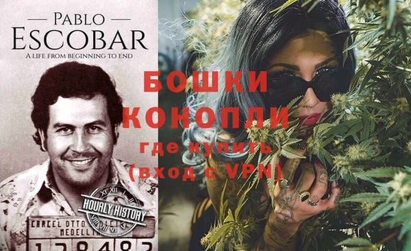 гидра Вязники