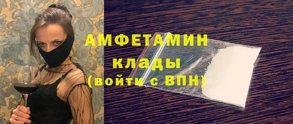 гидра Вязники