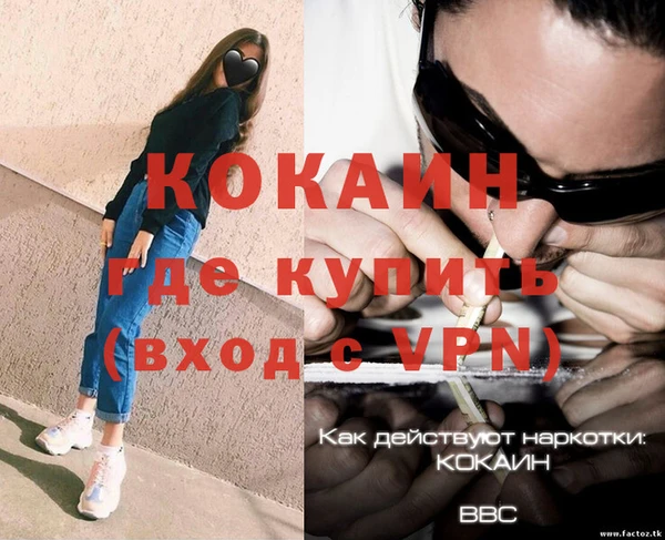 гидра Вязники